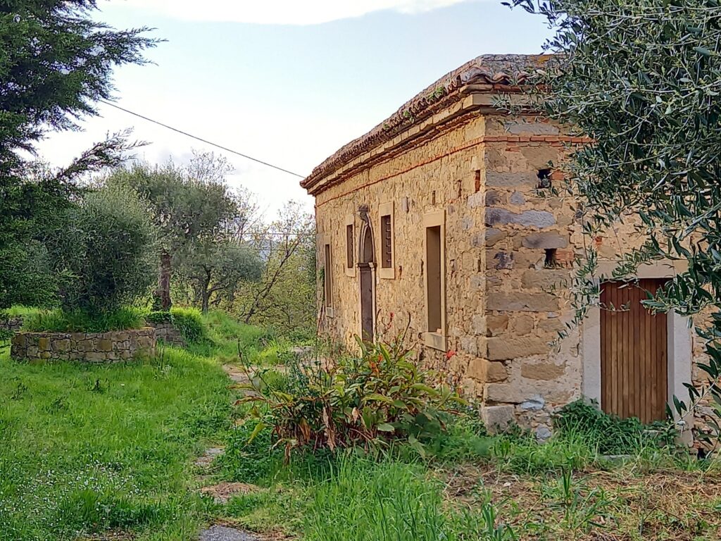 palazzo salleo zigale