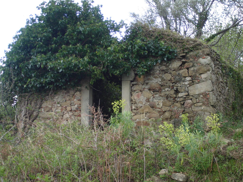 chiesa santa maria xilona